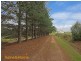 242 North Yarlington Road, Colebrook TAS 7027