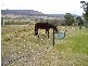 151 Springvale Rd, Campania TAS 7026