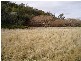 151 Springvale Rd, Campania TAS 7026