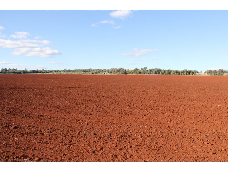 Kingaroy QLD 4610