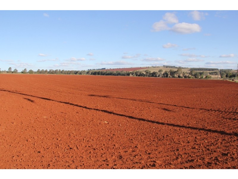 Kingaroy QLD 4610