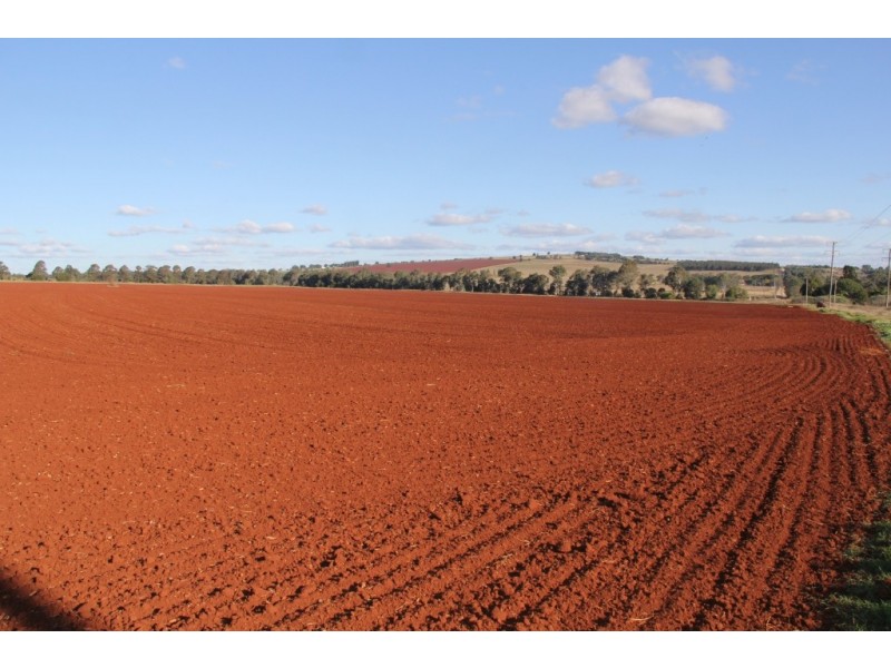 Kingaroy QLD 4610