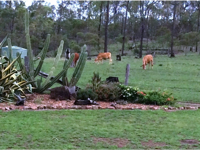 278a Wattle camp, Wattle Camp QLD 4615