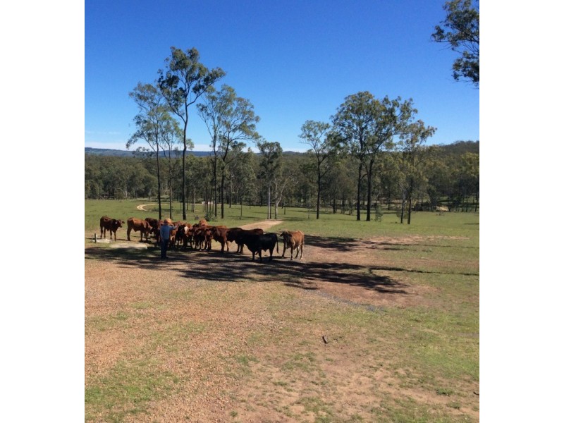 278a Wattle camp, Wattle Camp QLD 4615