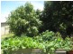 22 Fitzroy St, Kingaroy QLD 4610