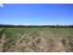 Lot 63 Faughnans Road, Kingaroy QLD 4610