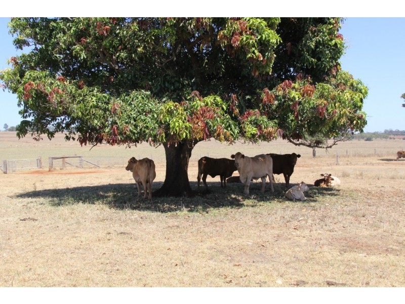 Mount Mceuen QLD 4606