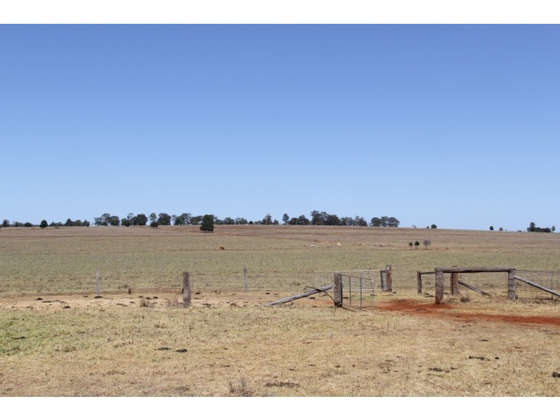 Mount Mceuen QLD 4606