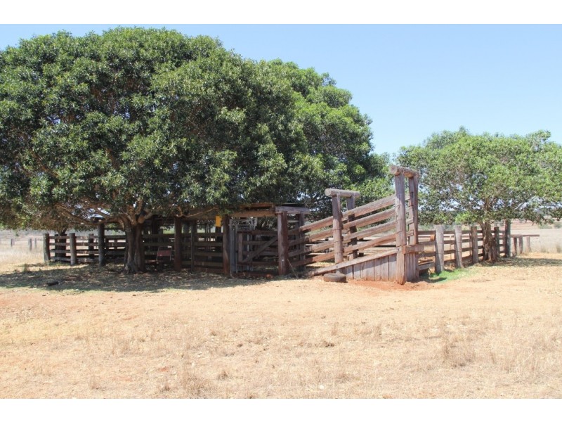 Mount Mceuen QLD 4606