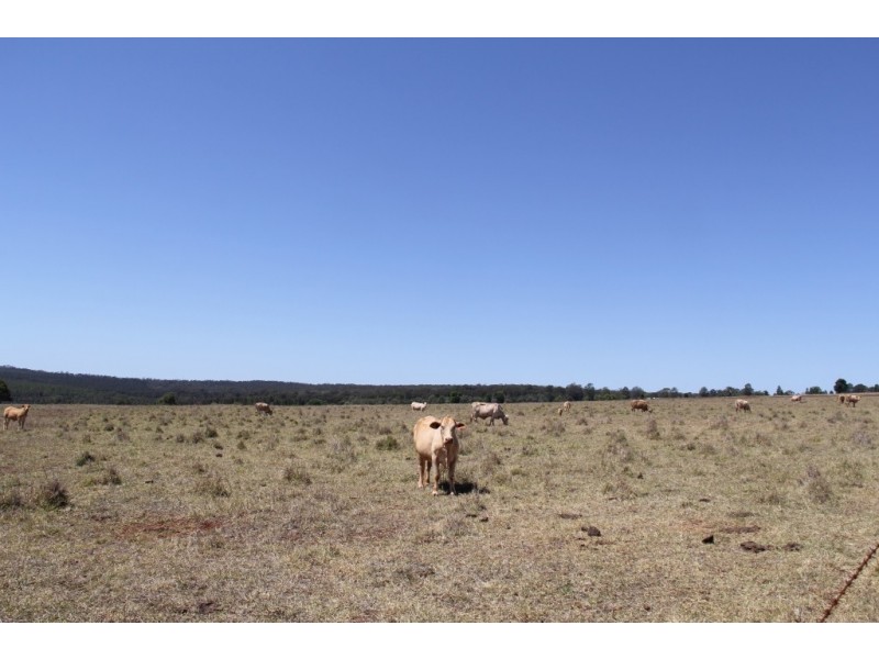 Mount Mceuen QLD 4606