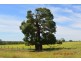 Brigooda QLD 4613