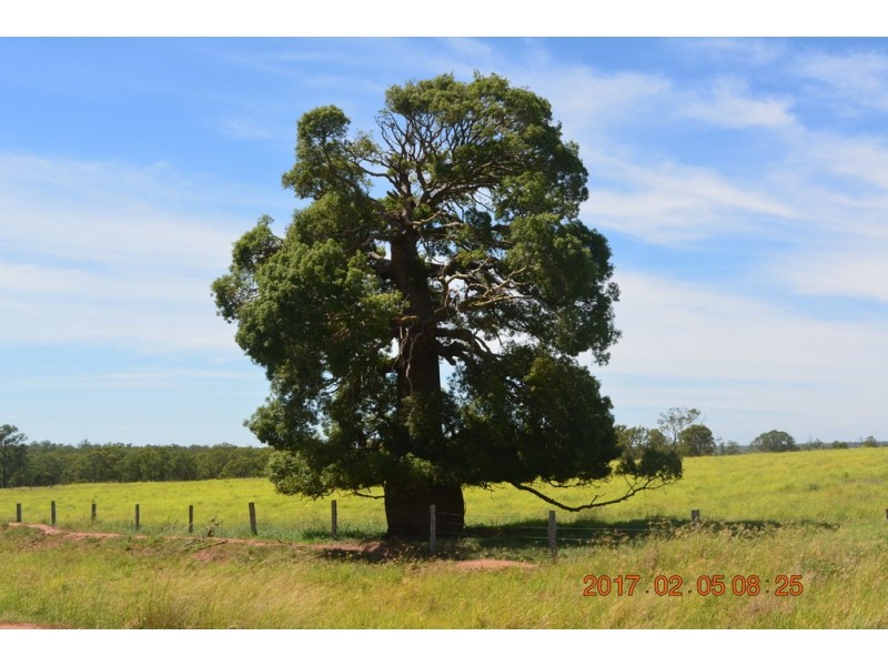 Brigooda QLD 4613