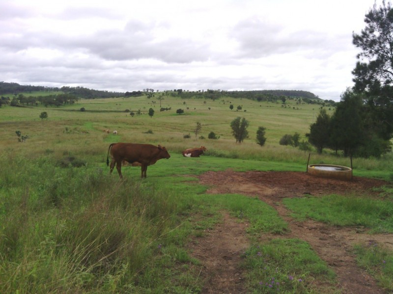 Kinleymore QLD 4613