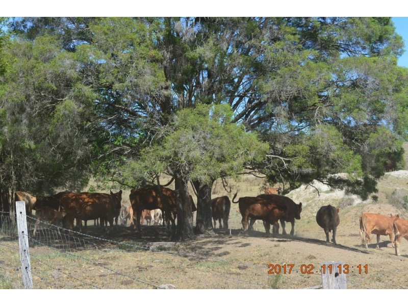 Kinleymore QLD 4613