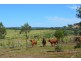 Kinleymore QLD 4613