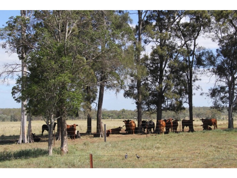 Kingaroy QLD 4610