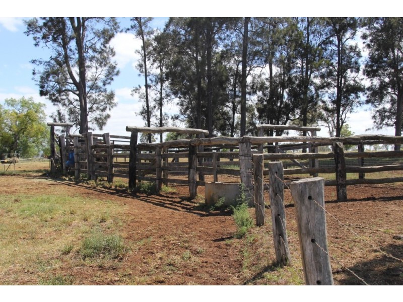 Kingaroy QLD 4610