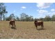 Ballogie QLD 4610