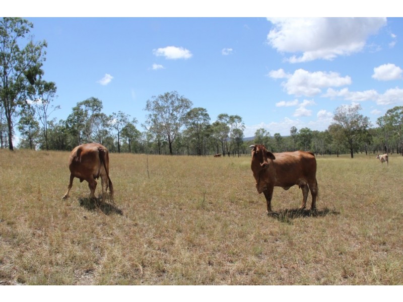 Ballogie QLD 4610