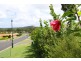 Kingaroy QLD 4610
