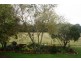 Coolabunia QLD 4610