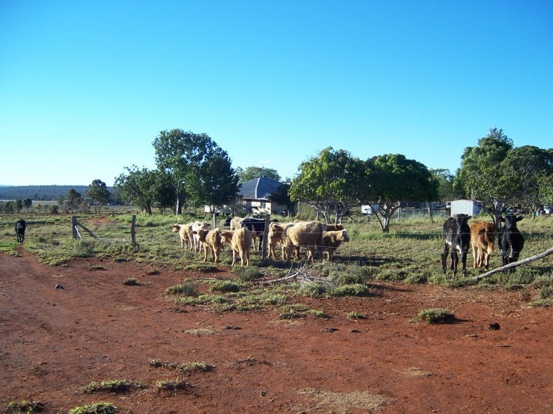 Proston QLD 4613
