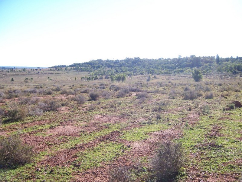 Proston QLD 4613
