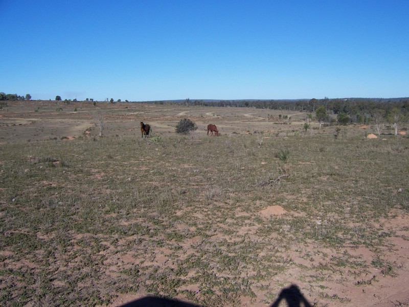 Proston QLD 4613