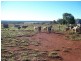 Proston QLD 4613