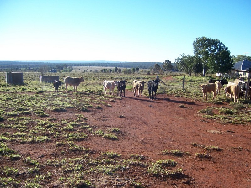 Proston QLD 4613