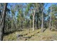 Lot 5 Ivanhoe Road, Coverty QLD 4613