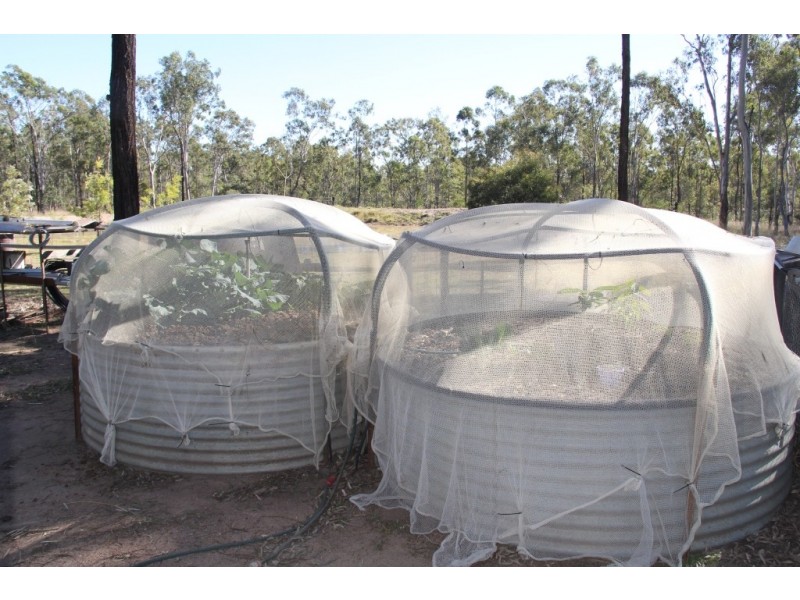 Ballogie QLD 4610