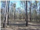 Proston QLD 4613