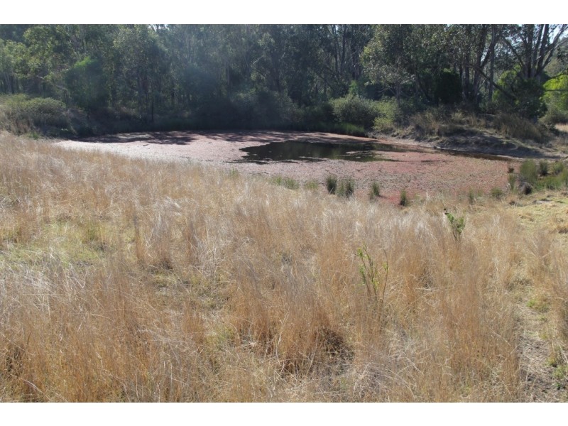 322 Mcauliffes, Kingaroy QLD 4610