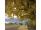 10 MATTHEW STREET, Kingaroy QLD 4610