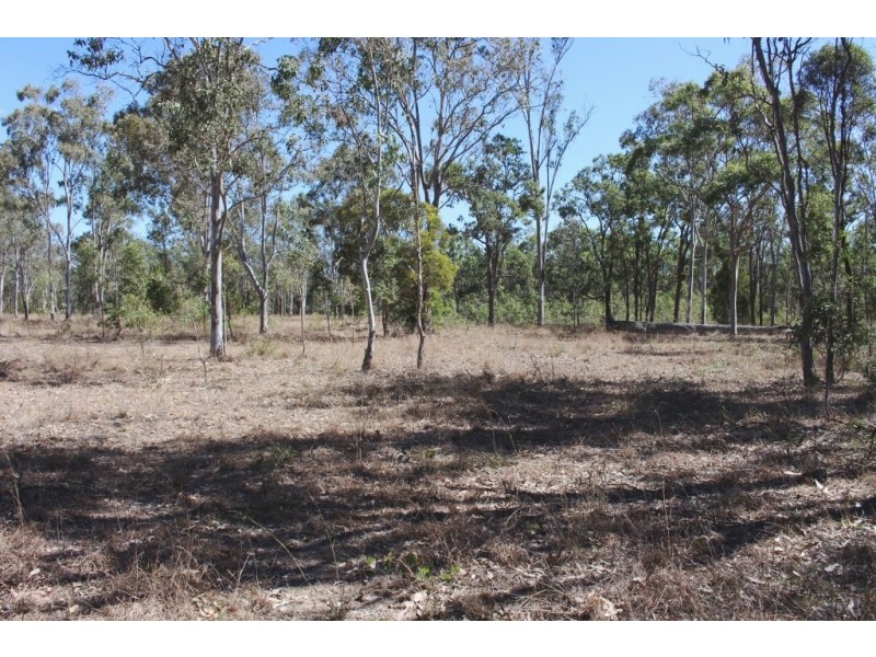 lot 204 Burnett Street, Nanango QLD 4615
