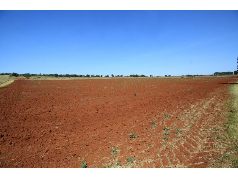 36 WELLERS ROAD, Wooroolin QLD 4608