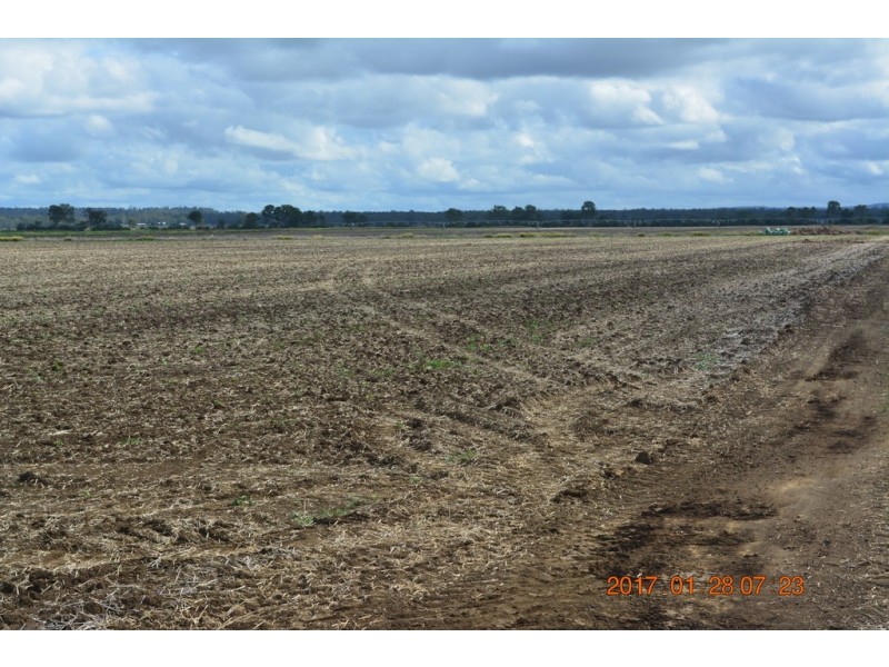 Mondure QLD 4611