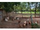 Tablelands QLD 4605