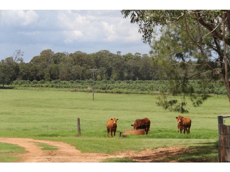 Kingaroy QLD 4610
