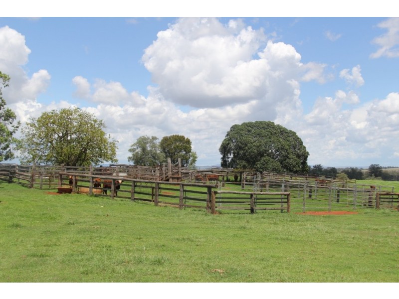 Kingaroy QLD 4610