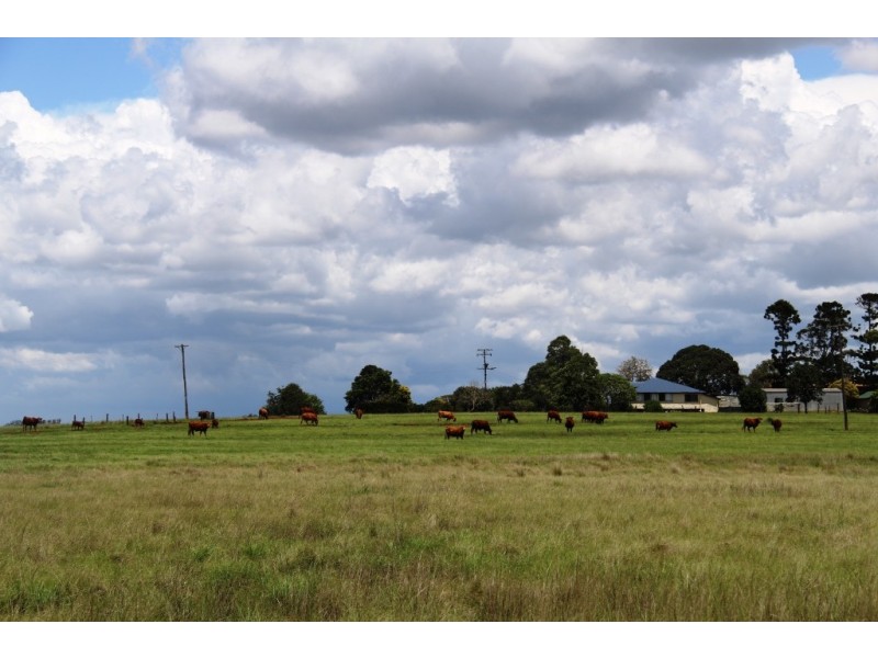 Kingaroy QLD 4610