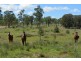 Cloyna QLD 4605