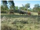 Kingaroy QLD 4610