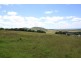 292 CROWNTHORPE ROAD, Tablelands QLD 4605