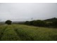 292 CROWNTHORPE ROAD, Tablelands QLD 4605