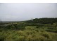 292 CROWNTHORPE ROAD, Tablelands QLD 4605