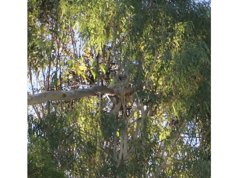 25 REDMANS ROAD, Kingaroy QLD 4610