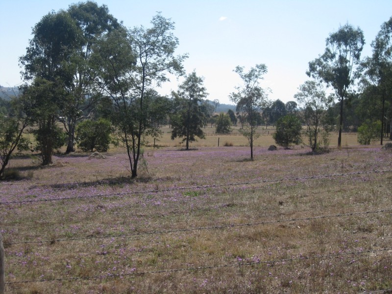 Brooklands QLD 4615
