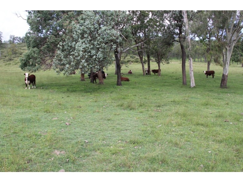 Blackbutt QLD 4306